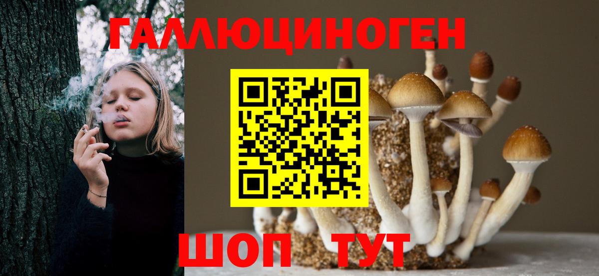 Псилоцибиновые грибы Psilocybine cubensis  Вход с VPN  Керчь 